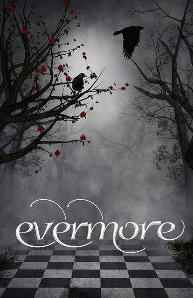 Produktbild: Evermore 4: Edgar Allan Poe Inspired Poetry