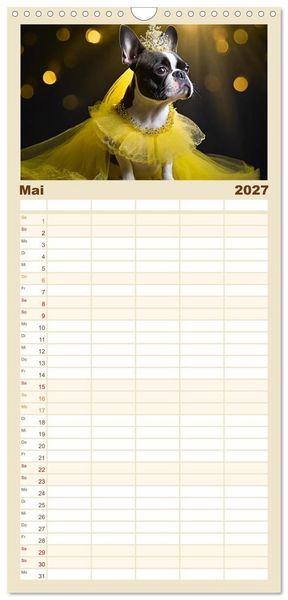 Produktbild: Familienplaner 2027 - Kleine Hunde - Gro&szlig;e Diven mit 5 Spalten (Wandkalender, 21 x 45 cm) CALVENDO