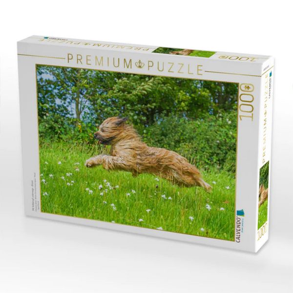 CALVENDO Puzzle Mit Volldampf unterwegs - Briard | 1000 Teile Lege-Größe 64x48cm Foto-Puzzle für glückliche Stunden