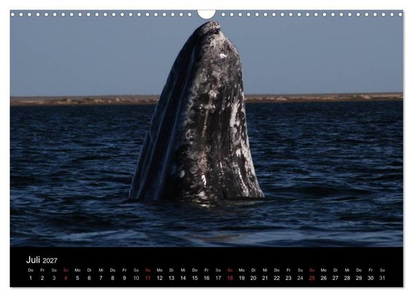 Produktbild: Baja California - Impressionen der mexikanischen Halbinsel (Wandkalender 2027 DIN A3 quer), CALVENDO Monatskalender
