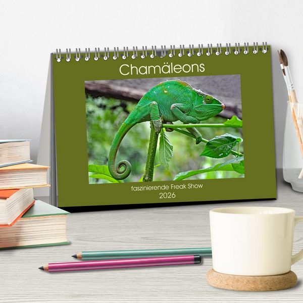 Produktbild: Cham&auml;leons - faszinierende Freak Show (Tischkalender 2026 DIN A5 quer), CALVENDO Monatskalender