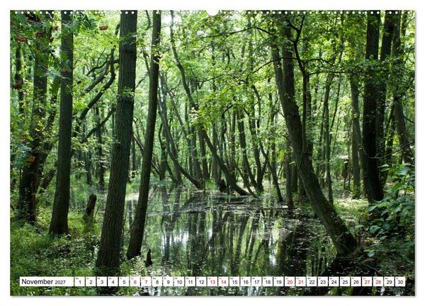 Produktbild: Fischland-Dar&szlig;-Zingst - Momente einer Reise (Wandkalender 2027 DIN A2 quer), CALVENDO Monatskalender