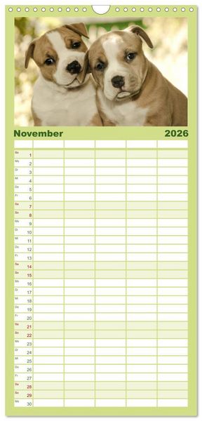 Produktbild: Familienplaner 2026 - American Staff und Co. mit 5 Spalten (Wandkalender, 21 x 45 cm) CALVENDO