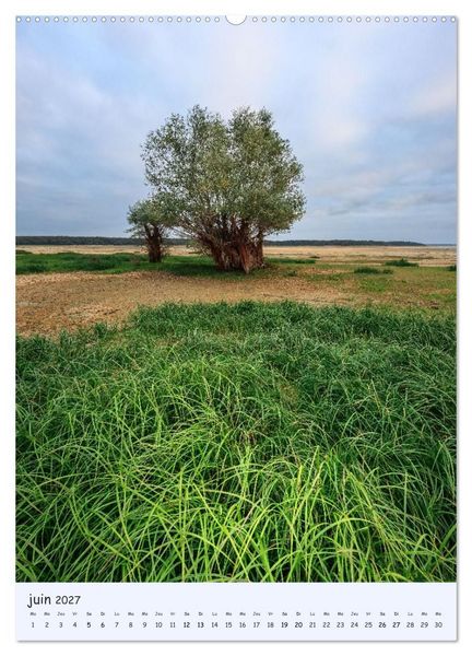 Produktbild: Arbres solitaires (Calendrier mural 2027 DIN A2 horizontal), CALVENDO calendrier mensuel