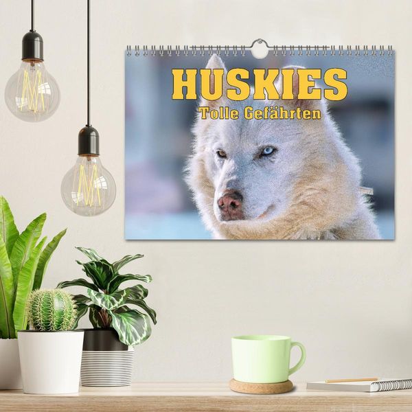 Produktbild: Huskies - Tolle Gef&auml;hrten (Wandkalender 2026 DIN A4 quer), CALVENDO Monatskalender