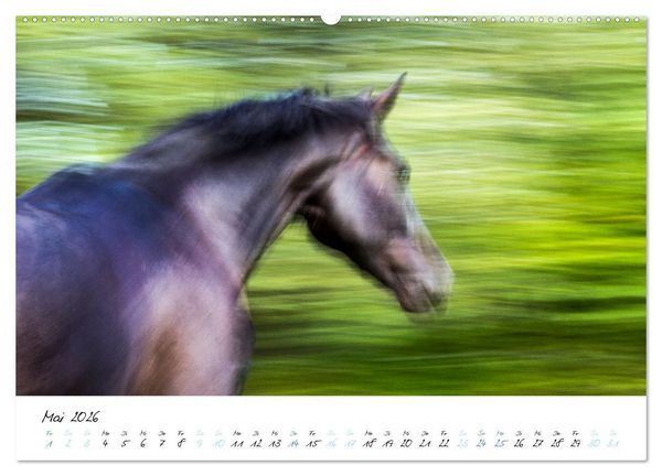 Produktbild: Pferde vom Wind verweht (Wandkalender 2026 DIN A2 quer), CALVENDO Monatskalender