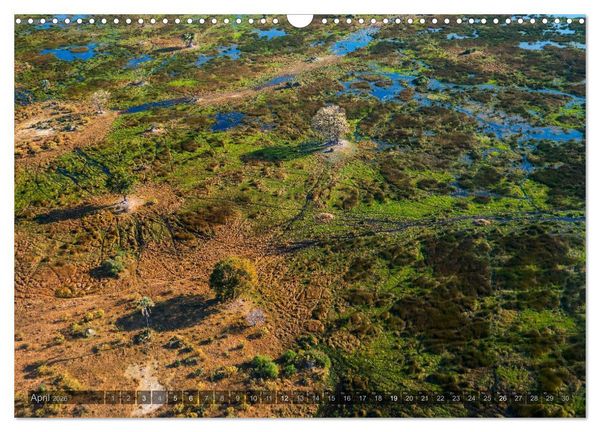 Produktbild: Botswana &ndash; Landschaft und Tierwelt (Wandkalender 2026 DIN A3 quer), CALVENDO Monatskalender