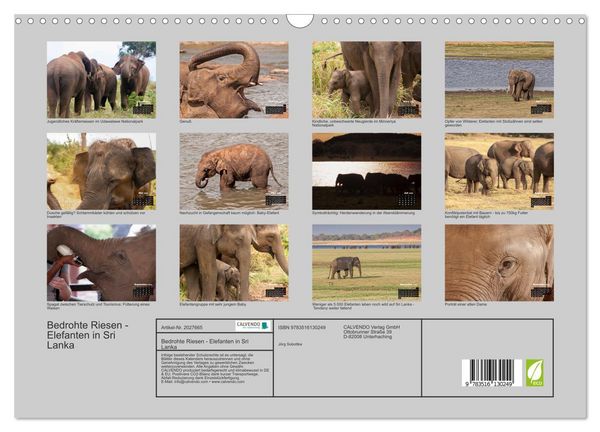Produktbild: Bedrohte Riesen - Elefanten in Sri Lanka (Wandkalender 2026 DIN A3 quer), CALVENDO Monatskalender