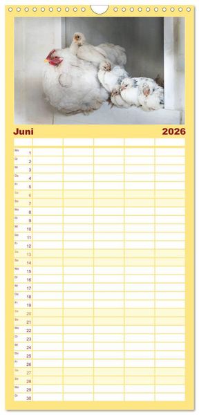 Produktbild: Familienplaner 2026 - H&uuml;hner in meinem Garten mit 5 Spalten (Wandkalender, 21 x 45 cm) CALVENDO
