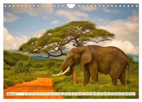 Produktbild: Die Riesen der Savanne (Wandkalender 2026 DIN A4 quer), CALVENDO Monatskalender