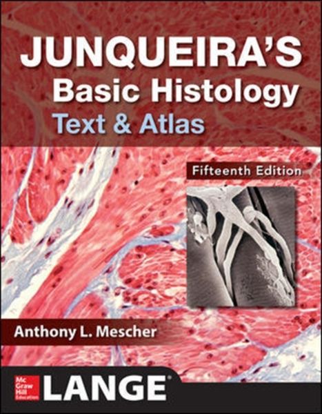 Produktbild: Mescher, A: Junqueira's Basic Histology: Text and Atlas, Fif