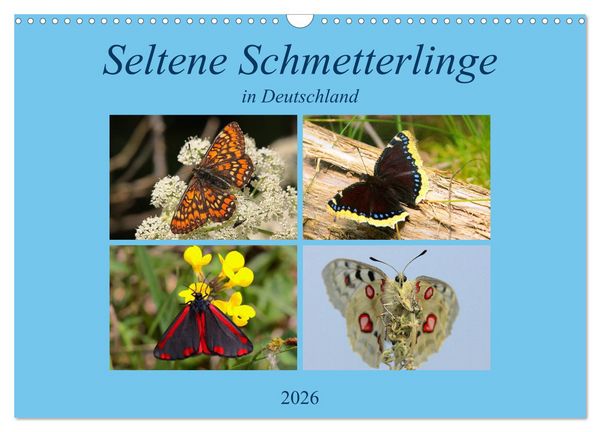 Produktbild: Seltene Schmetterlinge in Deutschland (Wandkalender 2026 DIN A3 quer), CALVENDO Monatskalender