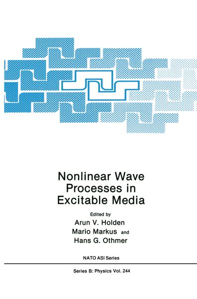 Produktbild: Nonlinear Wave Processes in Excitable Media