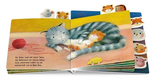 Produktbild: Wie kleine Tierkinder schlafen gehen