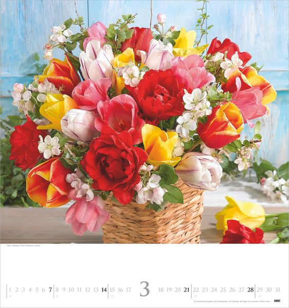 Produktbild: Bouquets 2027