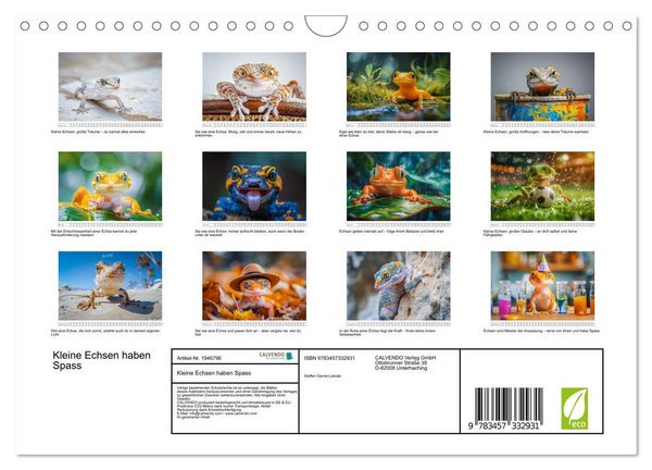 Produktbild: Kleine Echsen haben Spass (Wandkalender 2026 DIN A4 quer), CALVENDO Monatskalender