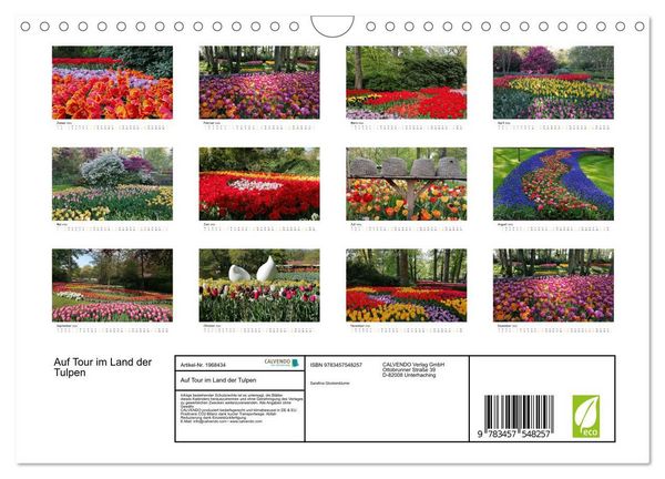 Produktbild: Auf Tour im Land der Tulpen (Wandkalender 2026 DIN A4 quer), CALVENDO Monatskalender
