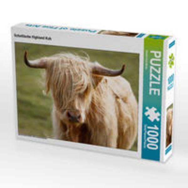 CALVENDO Puzzle Schottische Highland Kuh | 1000 Teile Lege-Größe 64x48cm Foto-Puzzle für glückliche Stunden