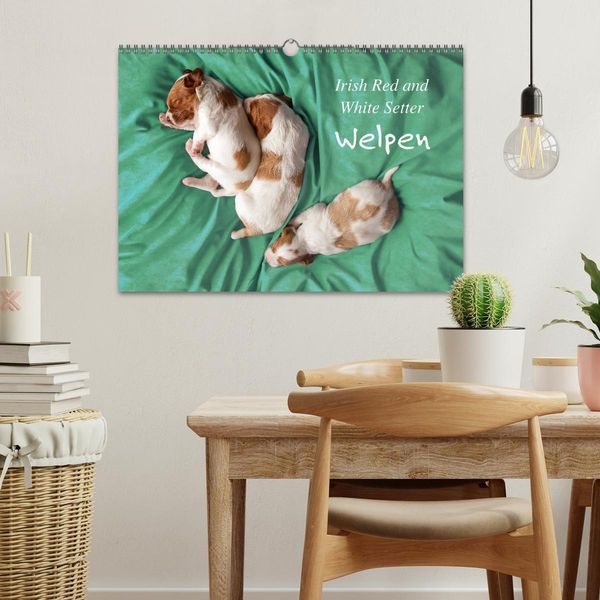 Produktbild: Irish Red and White Setter Welpen (Wandkalender 2026 DIN A3 quer), CALVENDO Monatskalender