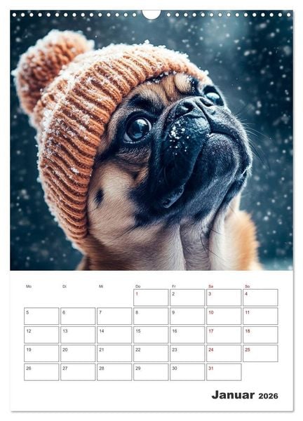 Produktbild: MOPS Pfotengl&uuml;ck in Faltenform (Wandkalender 2026 DIN A3 hoch), CALVENDO Monatskalender