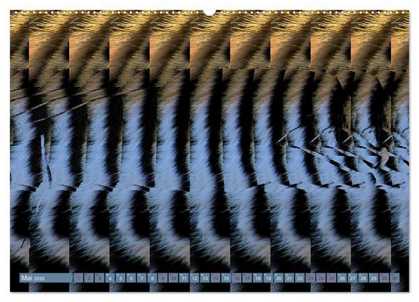 Produktbild: Magische Bilder - fantastische Stereogramme (Wandkalender 2026 DIN A2 quer), CALVENDO Monatskalender