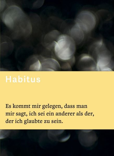 Habitus, Gebundene Ausgabe von Waseem Hussain, Ars remata, 9783952620007