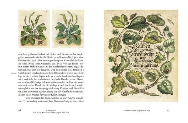Produktbild: Maria Sibylla Merians Reise zu den Schmetterlingen