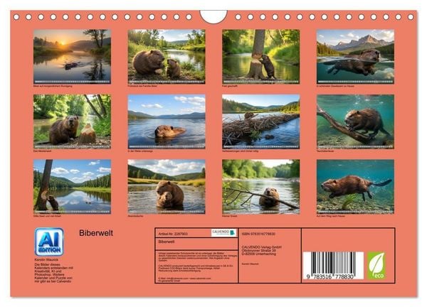 Produktbild: Biberwelt (Wandkalender 2027 DIN A4 quer), CALVENDO Monatskalender