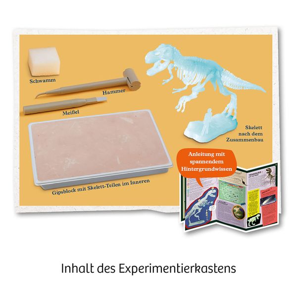 KOSMOS 658021 - T-REX nachtleuchtend, Ausgrabungs-Set, Experimentierkasten, Mitbring-Experimente