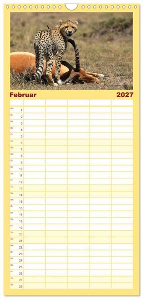 Produktbild: Familienplaner 2027 - Geparden - Begegnungen in Afrika mit 5 Spalten (Wandkalender, 21 x 45 cm) CALVENDO
