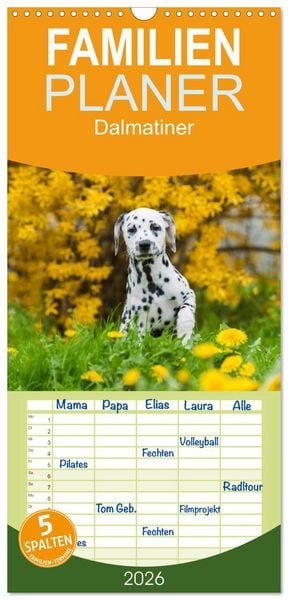 Produktbild: Familienplaner 2026 - Dalmatiner mit 5 Spalten (Wandkalender, 21 x 45 cm) CALVENDO
