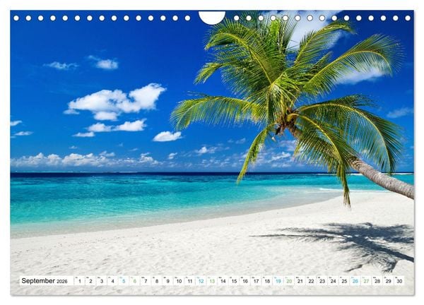 Produktbild: Sehnsucht Strandparadies (Wandkalender 2026 DIN A4 quer), CALVENDO Monatskalender