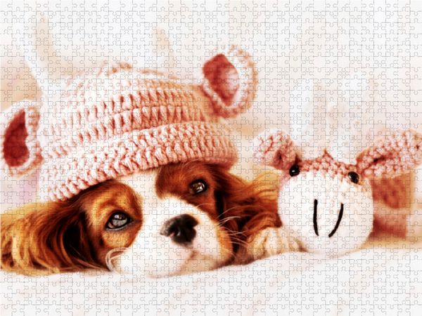 Produktbild: CALVENDO Puzzle Kuschelzeit 1000 Teile Lege-Gr&ouml;&szlig;e 64 x 48 cm Foto-Puzzle Bild von Janina B&uuml;rger