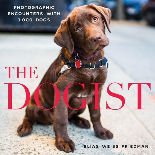 Produktbild: The Dogist