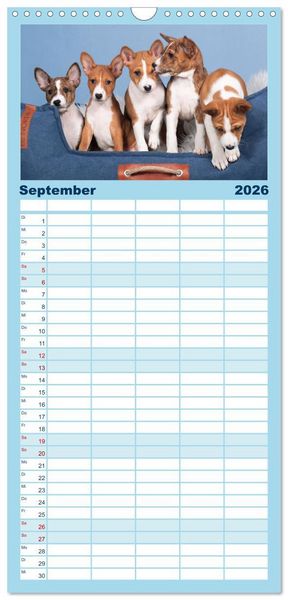 Produktbild: Familienplaner 2026 - Basenji-Sch&ouml;nheiten mit 5 Spalten (Wandkalender, 21 x 45 cm) CALVENDO