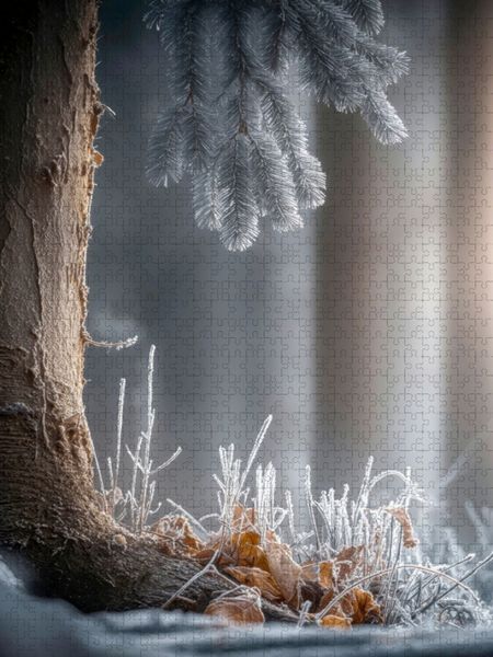 Produktbild: CALVENDO Puzzle Glitzernde Eiskristalle zieren die Natur | 1000 Teile Lege-Gr&ouml;&szlig;e 64x48cm Foto-Puzzle f&uuml;r gl&uuml;ckliche Stunden