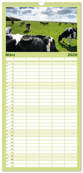 Produktbild: Familienplaner 2026 - Ameland Wundersch&ouml;ne Insel mit 5 Spalten (Wandkalender, 21 x 45 cm) CALVENDO