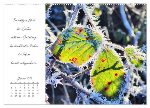Produktbild: Der Atem der Stille - Achtsame Augenblicke in der Natur (hochwertiger Premium Wandkalender 2026 DIN A2 quer), Kunstdruck in Hochglanz