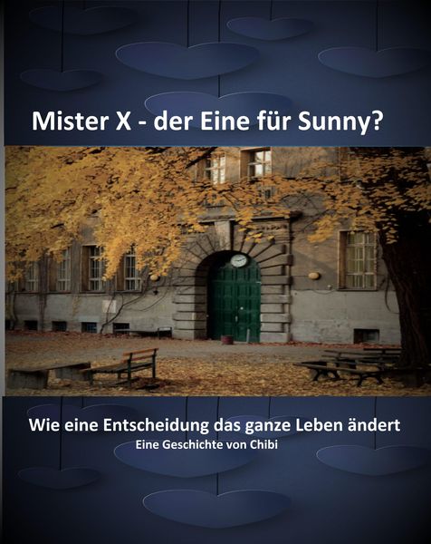 Produktbild: Mister X - der Eine f&uuml;r Sunny?