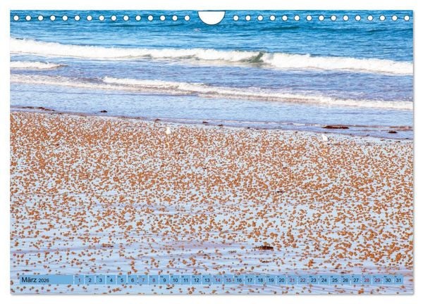Produktbild: Bretagne und Normandie - Vor der Flut beobachten und entdecken (Wandkalender 2026 DIN A4 quer), CALVENDO Monatskalender