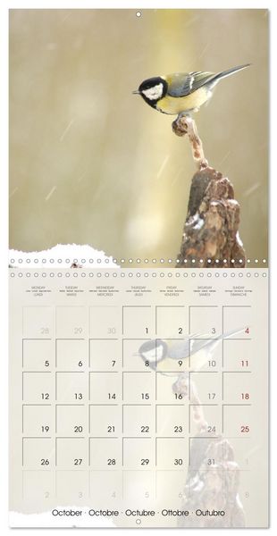 Produktbild: Le jardin des m&eacute;sanges (Calendrier mural carr&eacute; 2026 30x30 cm) Calendrier double avec une page pour vos prises de notes