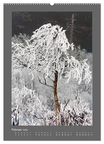 Produktbild: B&Auml;UME (hochwertiger Premium Wandkalender 2026 DIN A2 hoch), Kunstdruck in Hochglanz