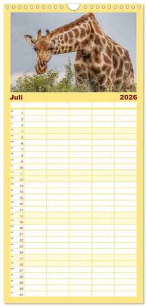 Produktbild: Familienplaner 2026 - Afrikas Tierwelt: Giraffen mit 5 Spalten (Wandkalender, 21 x 45 cm) CALVENDO