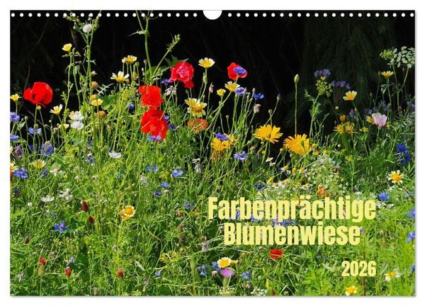 Farbenprächtige Blumenwiese (Wandkalender 2026 DIN A3 quer), CALVENDO Monatskalender