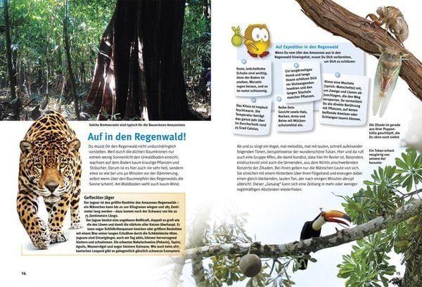 Produktbild: Entdecke den Amazonas-Regenwald