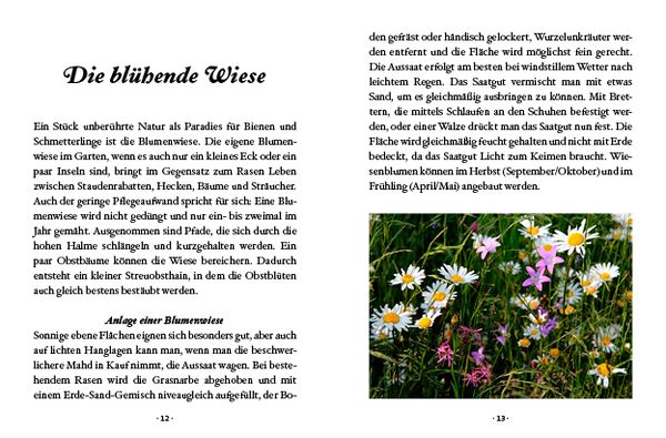 Produktbild: Das kleine Buch: Mein Garten für Bienen & Schmetterlinge