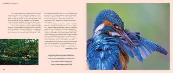Produktbild: Wilde Elbe