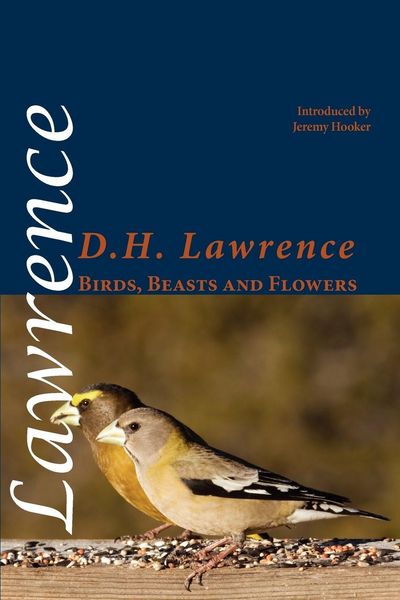 Produktbild: Birds, Beasts and Flowers