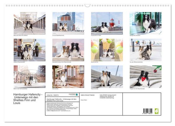 Produktbild: Hamburger Hafencity - Unterwegs mit den Shelties Finn und Louis (Wandkalender 2026 DIN A2 quer), CALVENDO Monatskalender