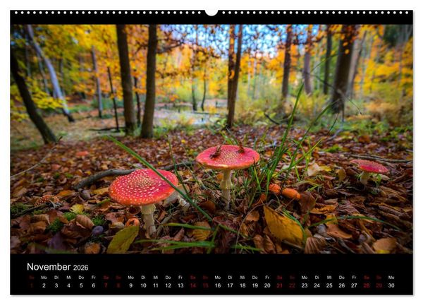 Produktbild: Naturwunder Norddeutschlands (hochwertiger Premium Wandkalender 2026 DIN A2 quer), Kunstdruck in Hochglanz